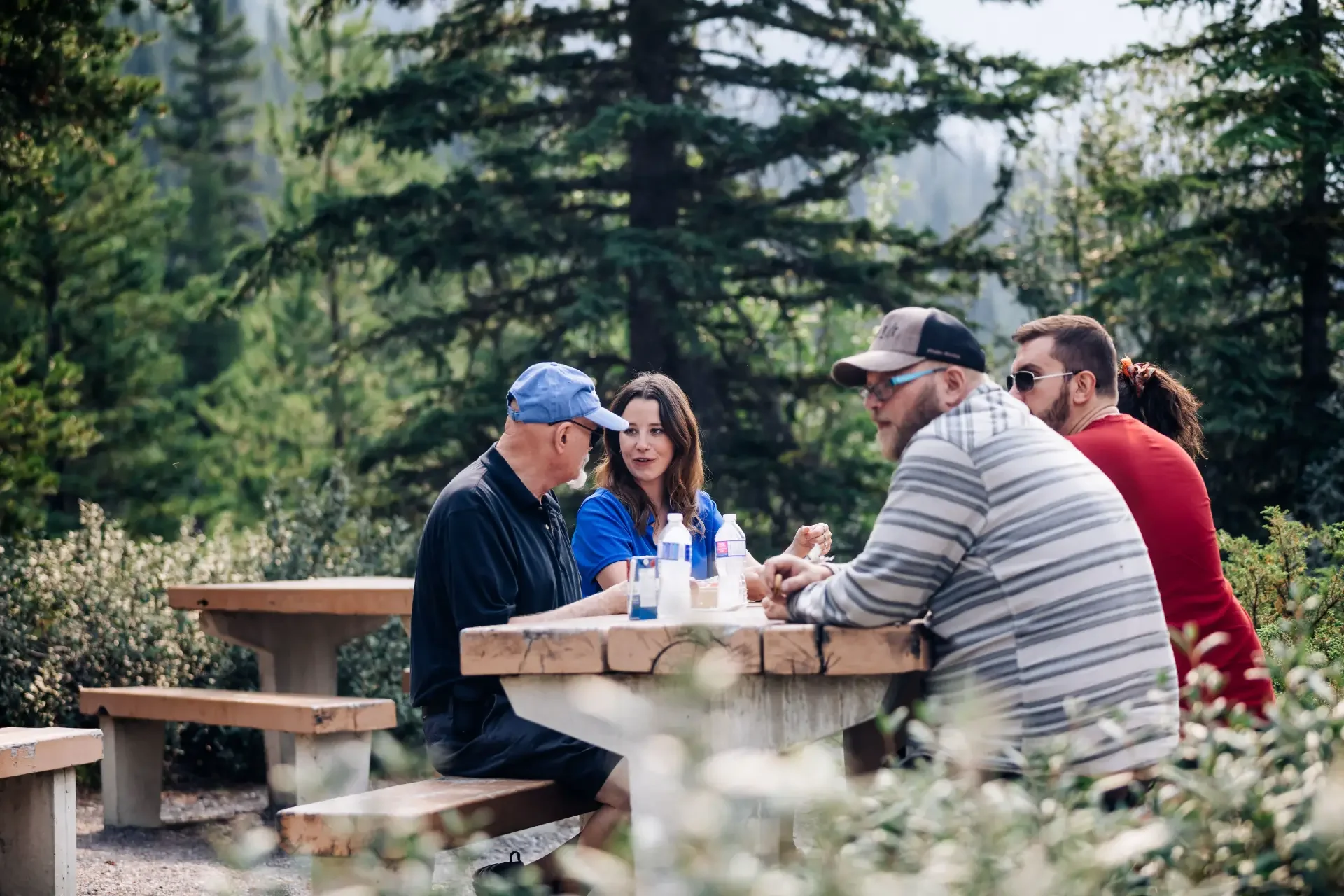 Mountain Picnic Lunch