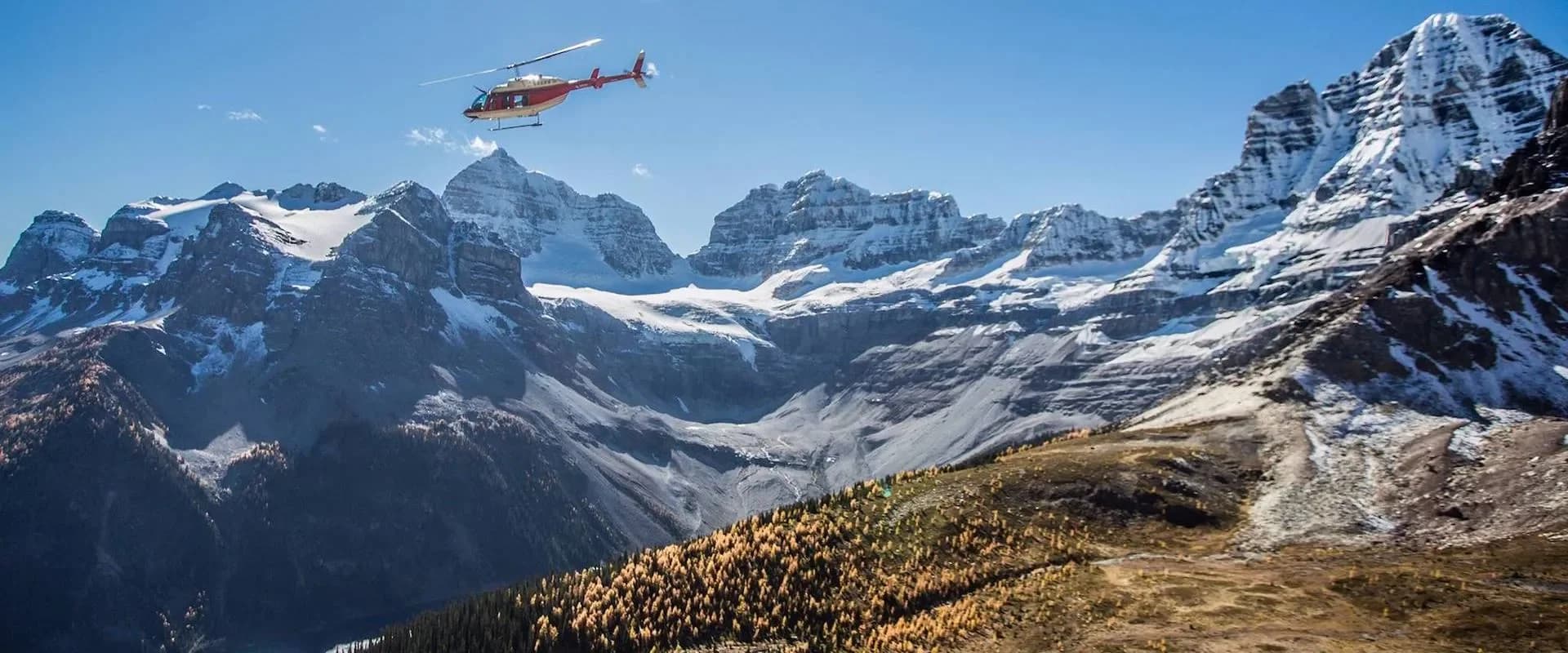 Alpine Helicopters