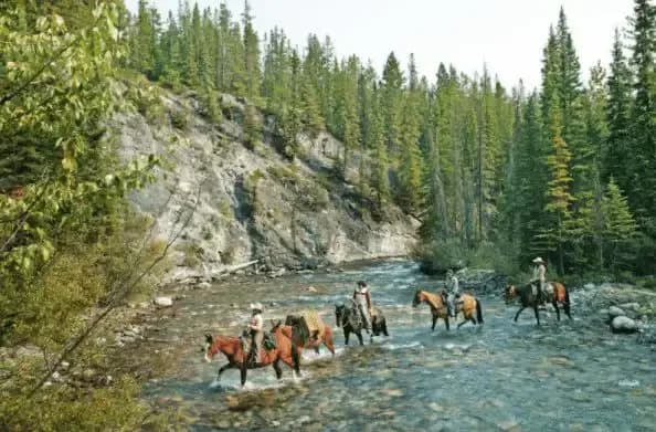 Strom Pack Trail