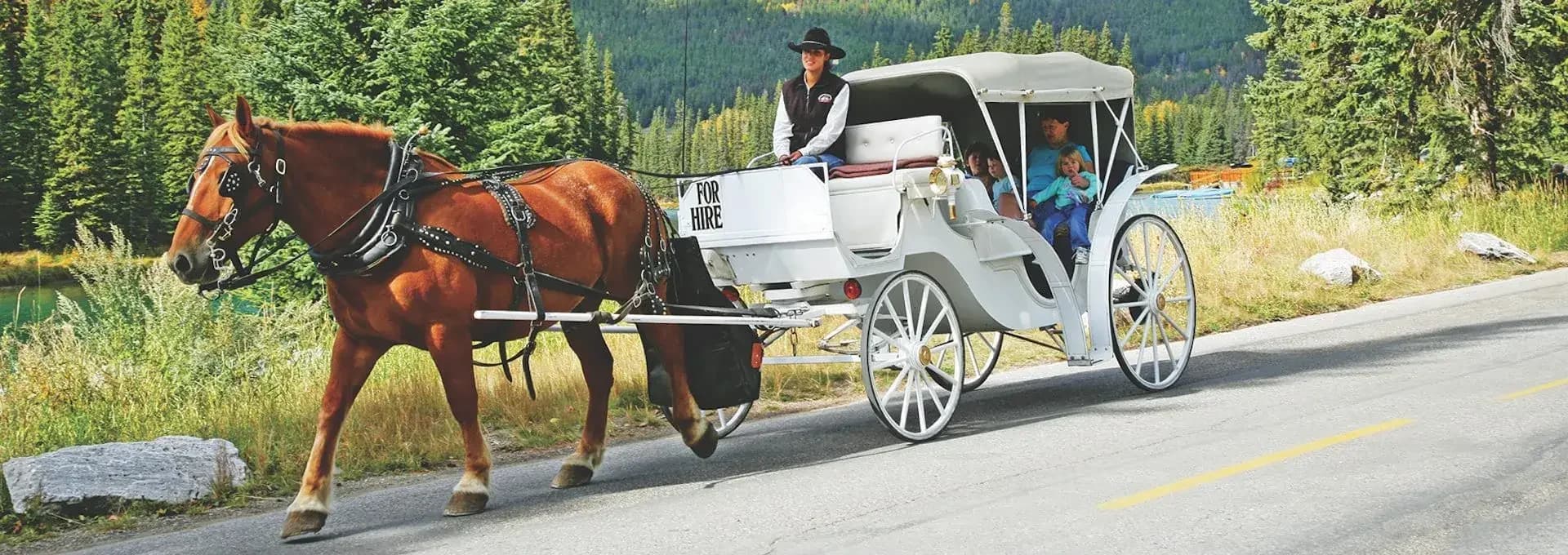 Banff Carriage Ride