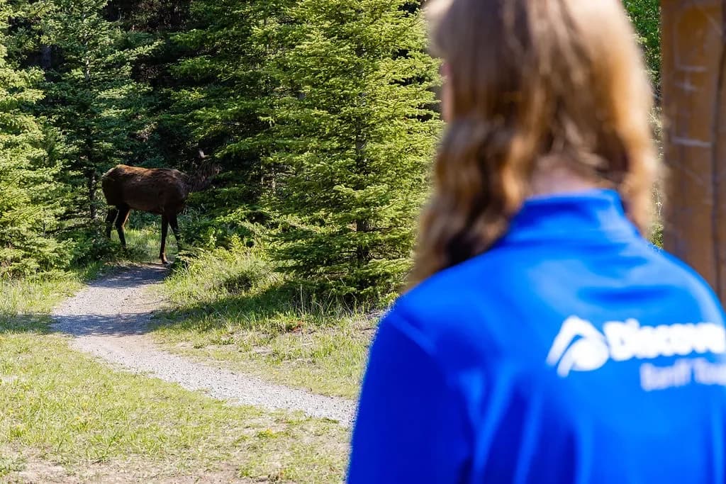 DBT BanffTour 205