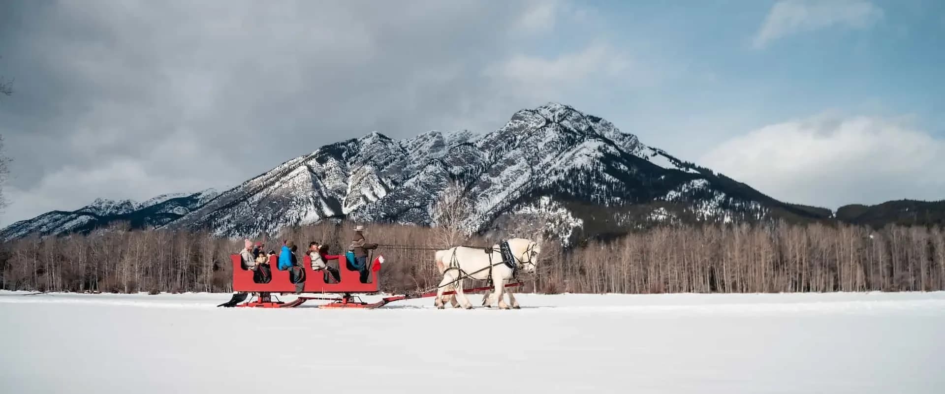Group sleigh ride