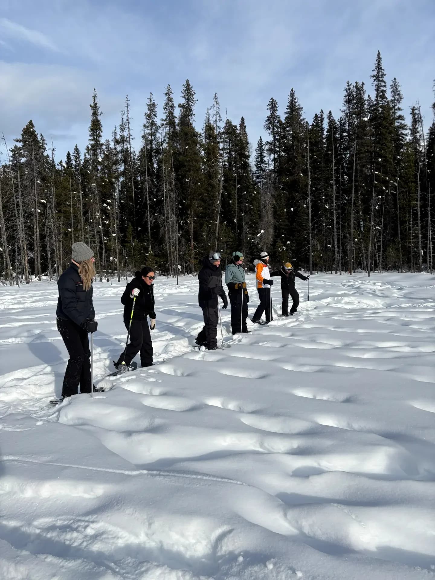 snowshoe