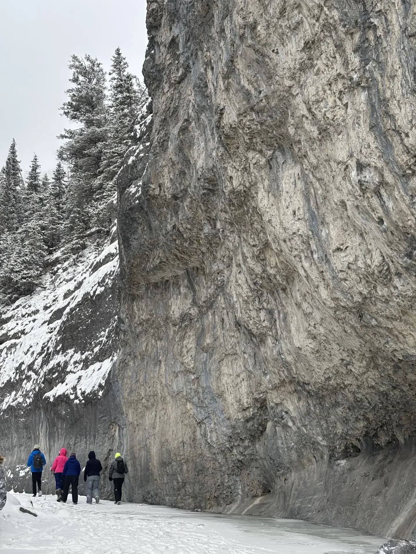 Geology of the Rockies