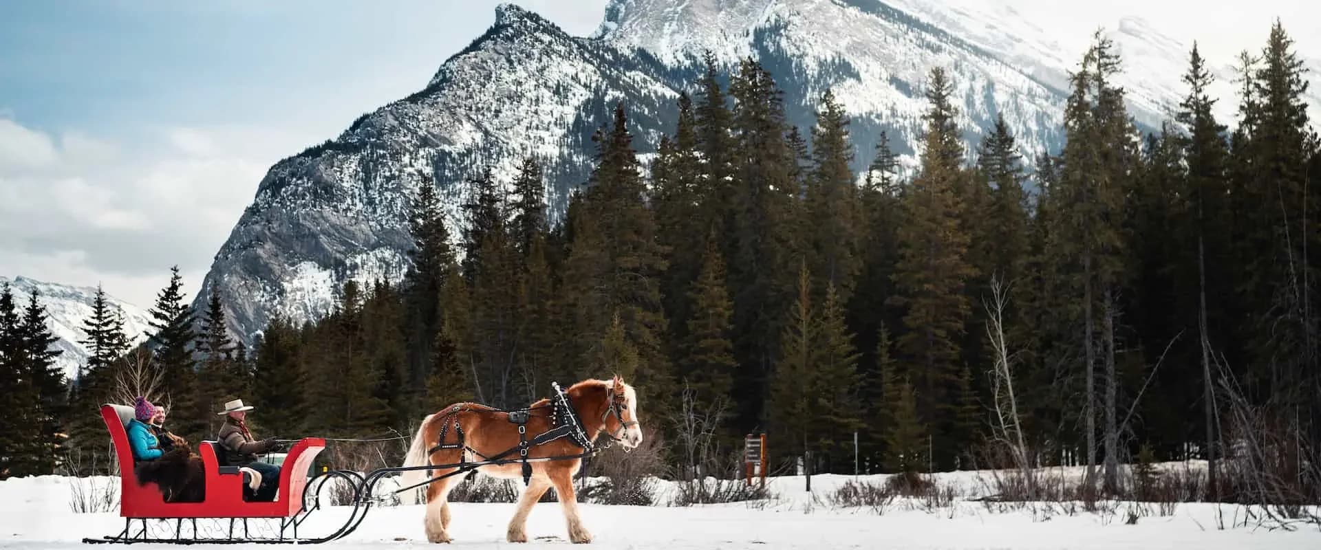 Private Banff sleigh ride 1