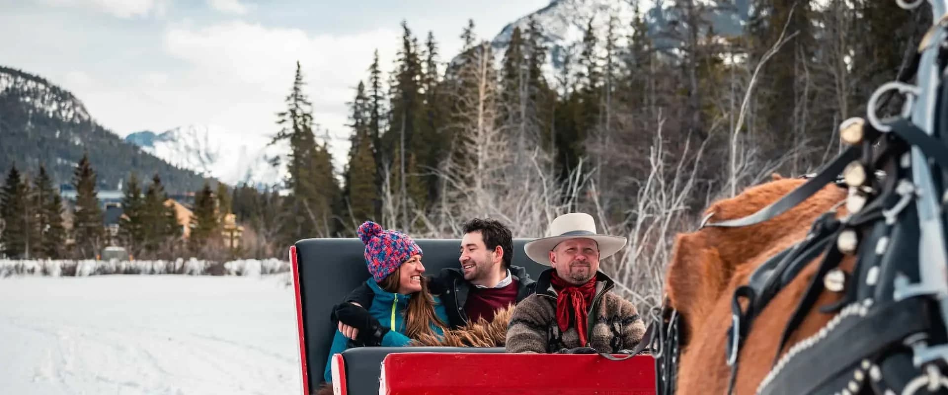 Private winter sleigh ride