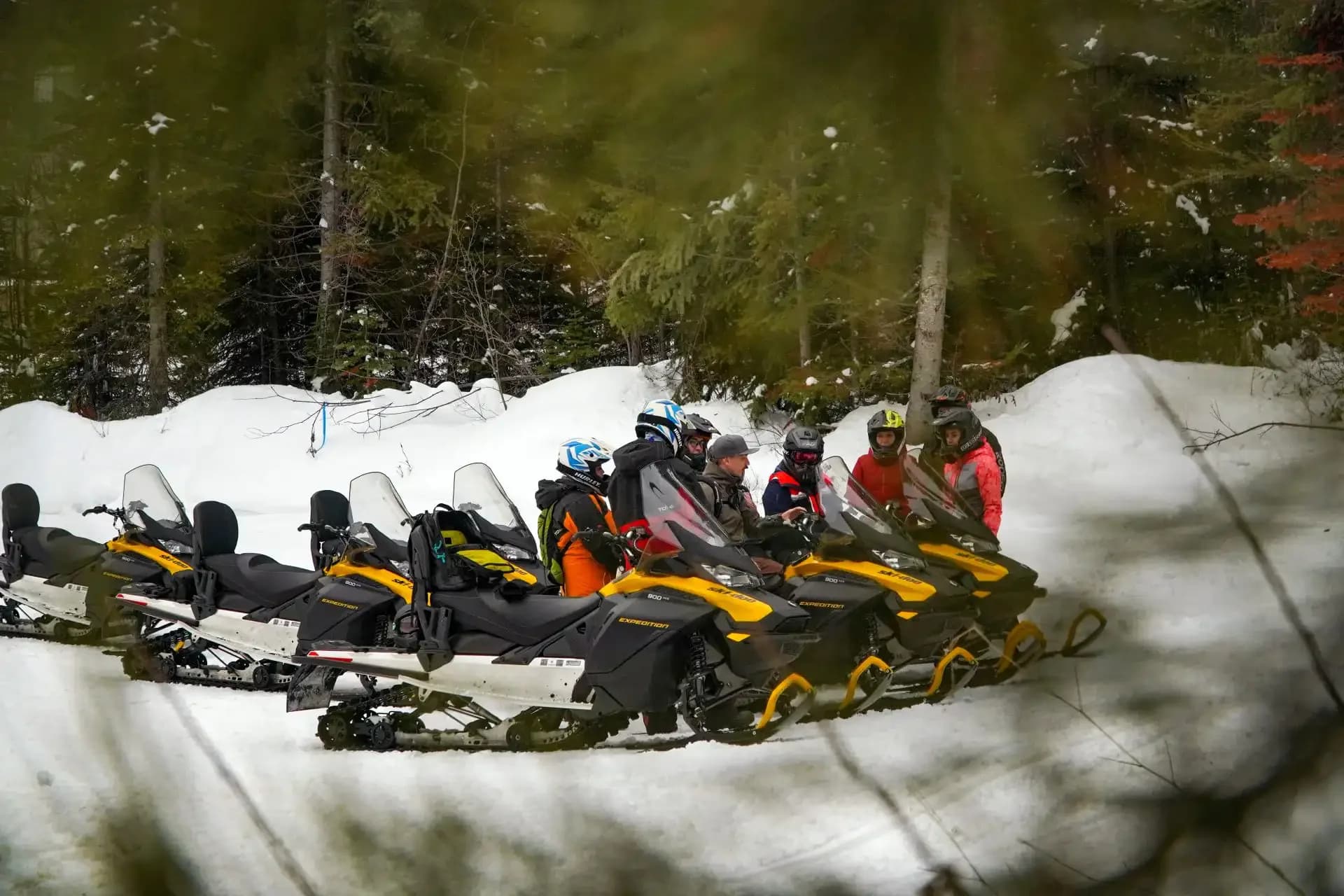 RMR guides 2