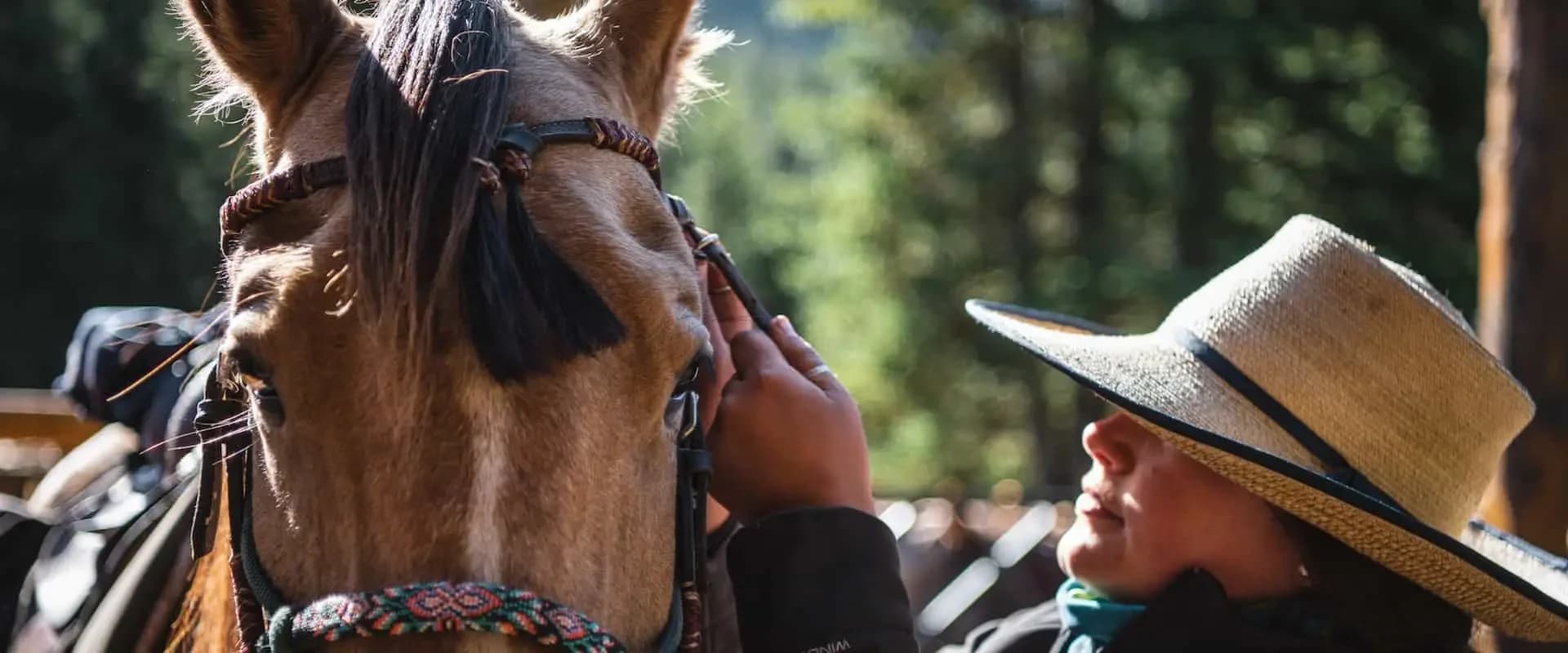 Saddle up at Halfway Lodge