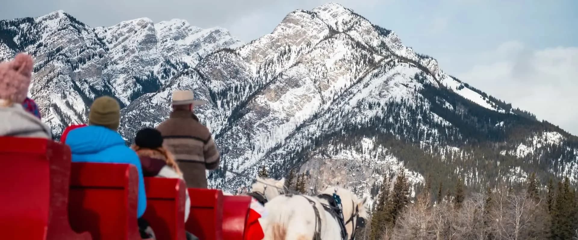 Sleigh ride through the mountain meadows