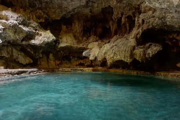 Pass the Cave & Basin Hot Springs