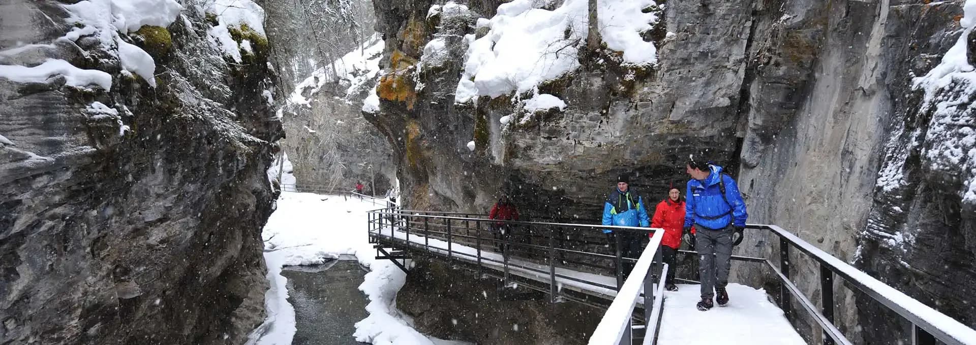 Johnston Canyon Icewalk
