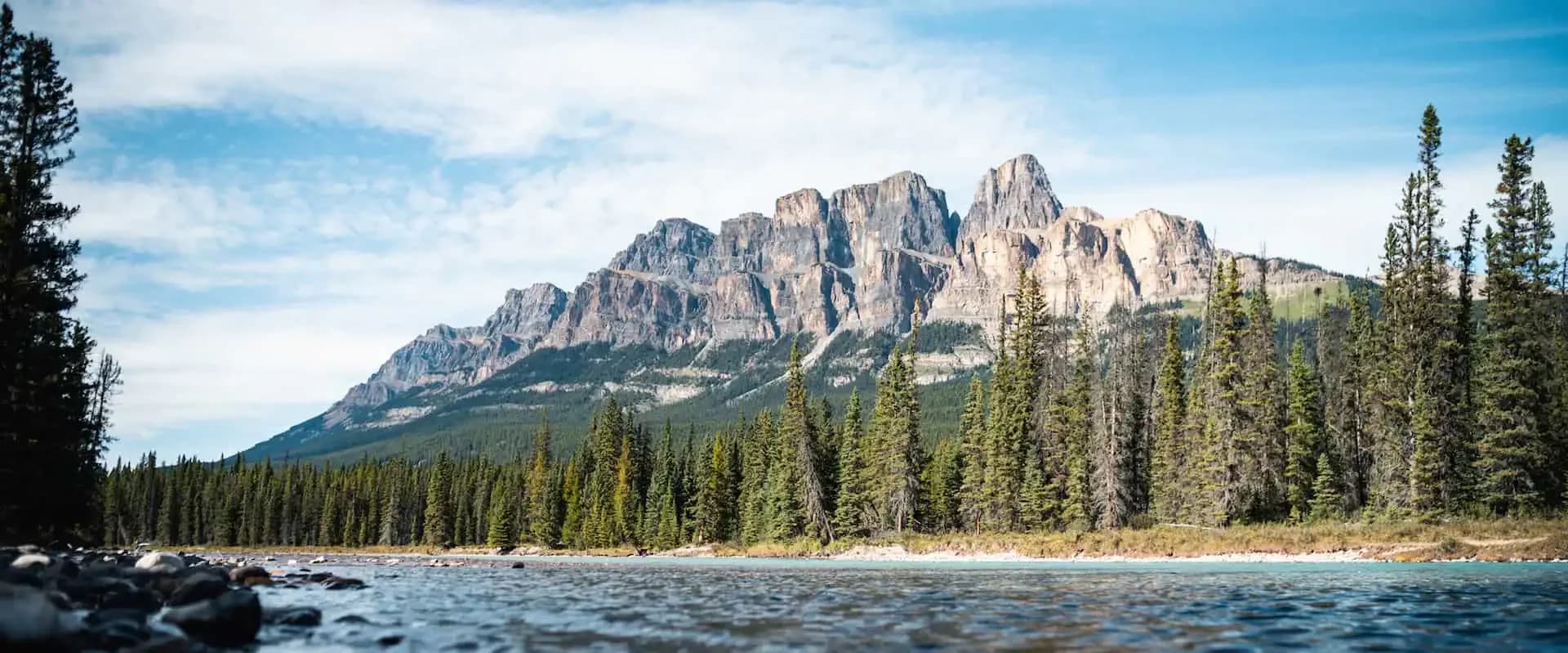 Horseback Ride – Bow River 1 Hr